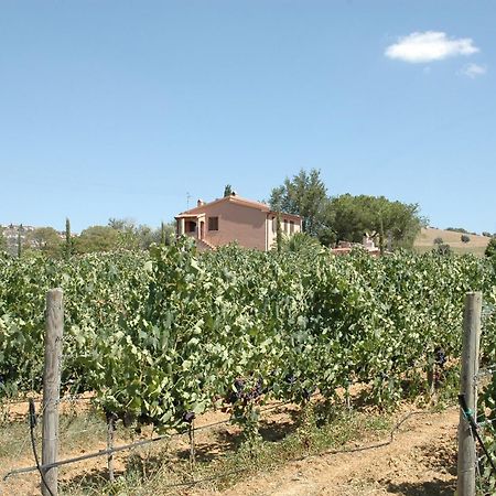 Agriturismo Pian Dei Pini Montiano  Zewnętrze zdjęcie