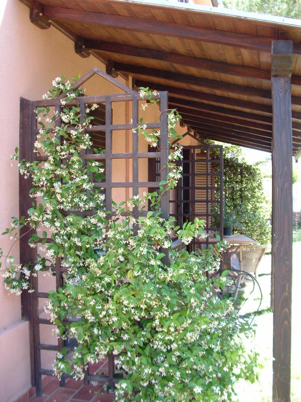 Agriturismo Pian Dei Pini Montiano  Zewnętrze zdjęcie