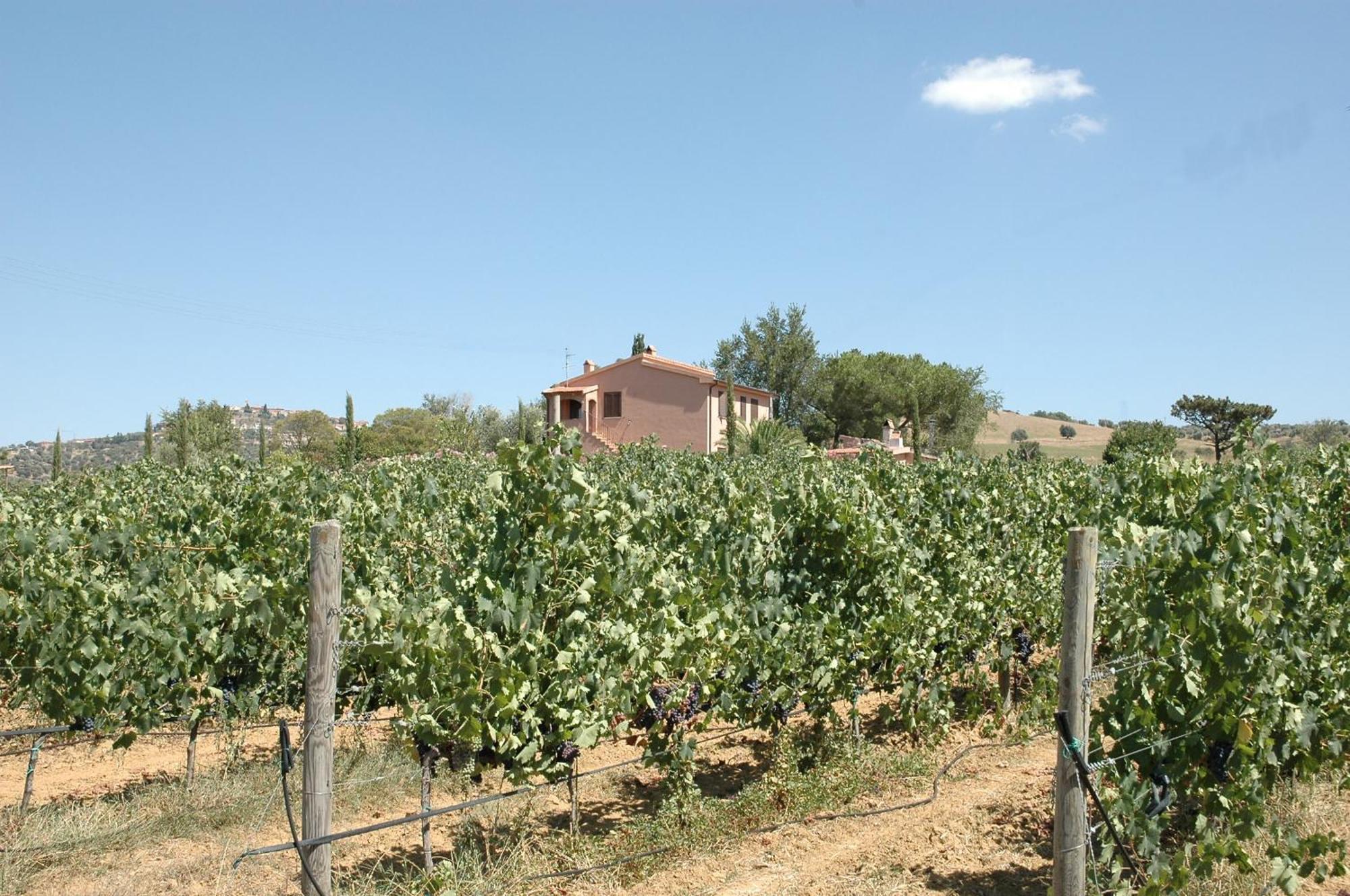 Agriturismo Pian Dei Pini Montiano  Zewnętrze zdjęcie
