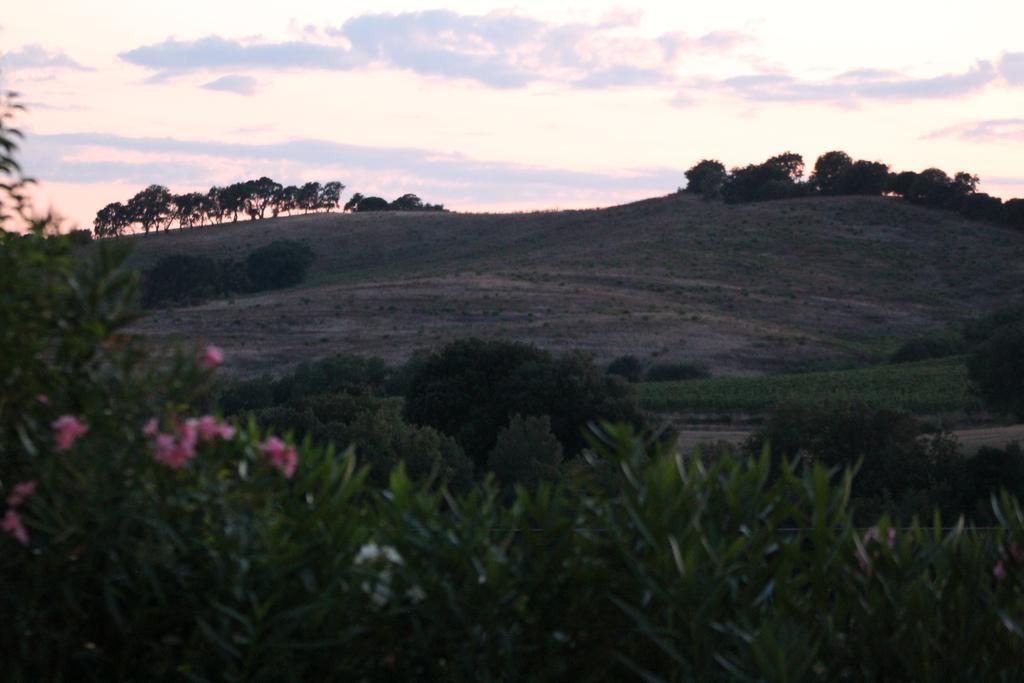 Agriturismo Pian Dei Pini Montiano  Zewnętrze zdjęcie