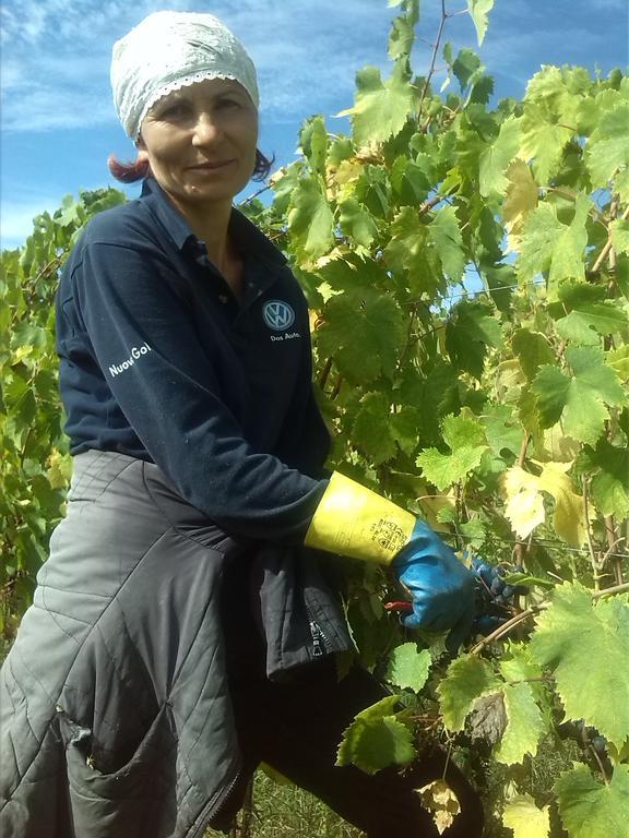 Agriturismo Pian Dei Pini Montiano  Zewnętrze zdjęcie